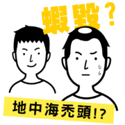 地中海禿頭